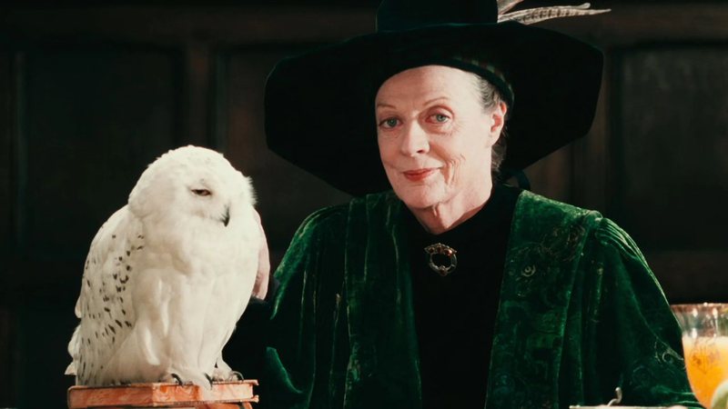 Maggie Smith como a professora Minerva McGonagall em 'Harry Potter e a Pedra Filosofal' (2001) - Reprodução/Warner Bros. Pictures