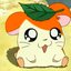 Cena do anime 'Hamtaro'