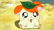 Cena do anime 'Hamtaro' - Reprodução/TMS Entertainment