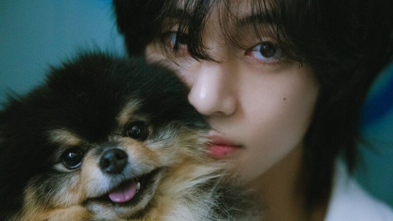 V, do BTS, e Yeontan em concept photo para o álbum 'Layover' - Divulgação/BIGHIT Music