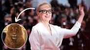 Atriz Meryl Streep e personagem Aslan de 'As Crônicas de Nárnia' - Reprodução/Disney e Cindy Ord/Getty Images