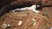 Um paleontólogo na exposição "Tiniest Giants: Discovering Dinosaur Eggs", em 2002 - Tim Boyle/Getty Images