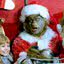 Imagem promocional do filme 'O Grinch' (2000)