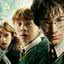 Harry Potter, Hermione e Ronald Weasley