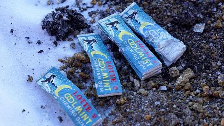 Goma de mascar encontrada pela equipe de pesquisadores - Divulgação