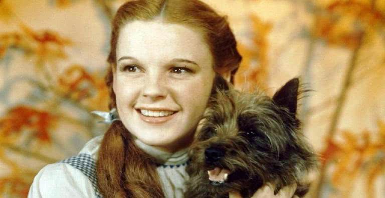 Dorothy (Judy Garland) e Totó no longa O Mágico de Oz (1939) - Divulgação/MGM