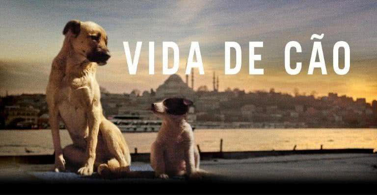Imagem promocional do documentário 'Vida de Cão' - Divulgação/Synapse Distribution
