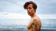 Diretora de 'Eternos' explica por que escolheu Harry Styles para integrar elenco - Foto: Rolling Stone