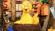 Big Bird, mas conhecido no Brasil como Garibaldo - Reprodução/Twitter/BigBird