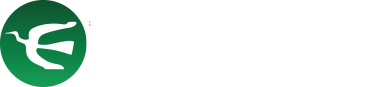 Editora Perfil