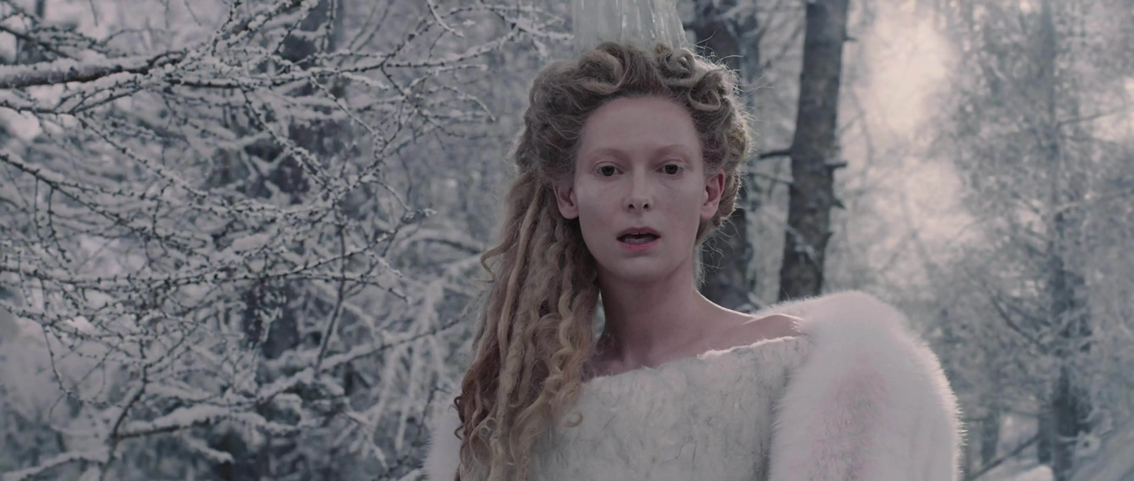 Cena de 'As Crônicas de Nárnia: O Leão, a Feiticeira e o Guarda-Roupa' (2005)
