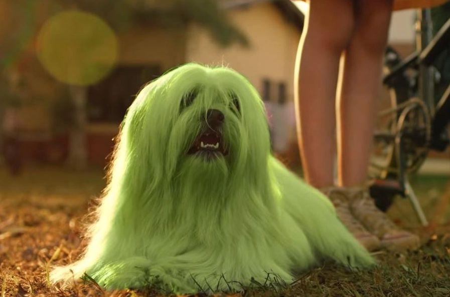 Floquinho no filme 'Turma da Mônica - Laços' (2019)