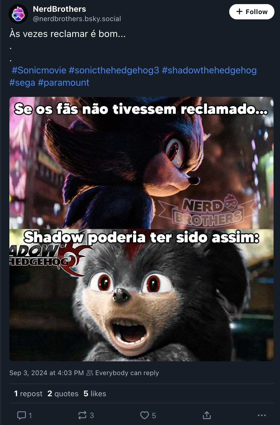 sonic shadow