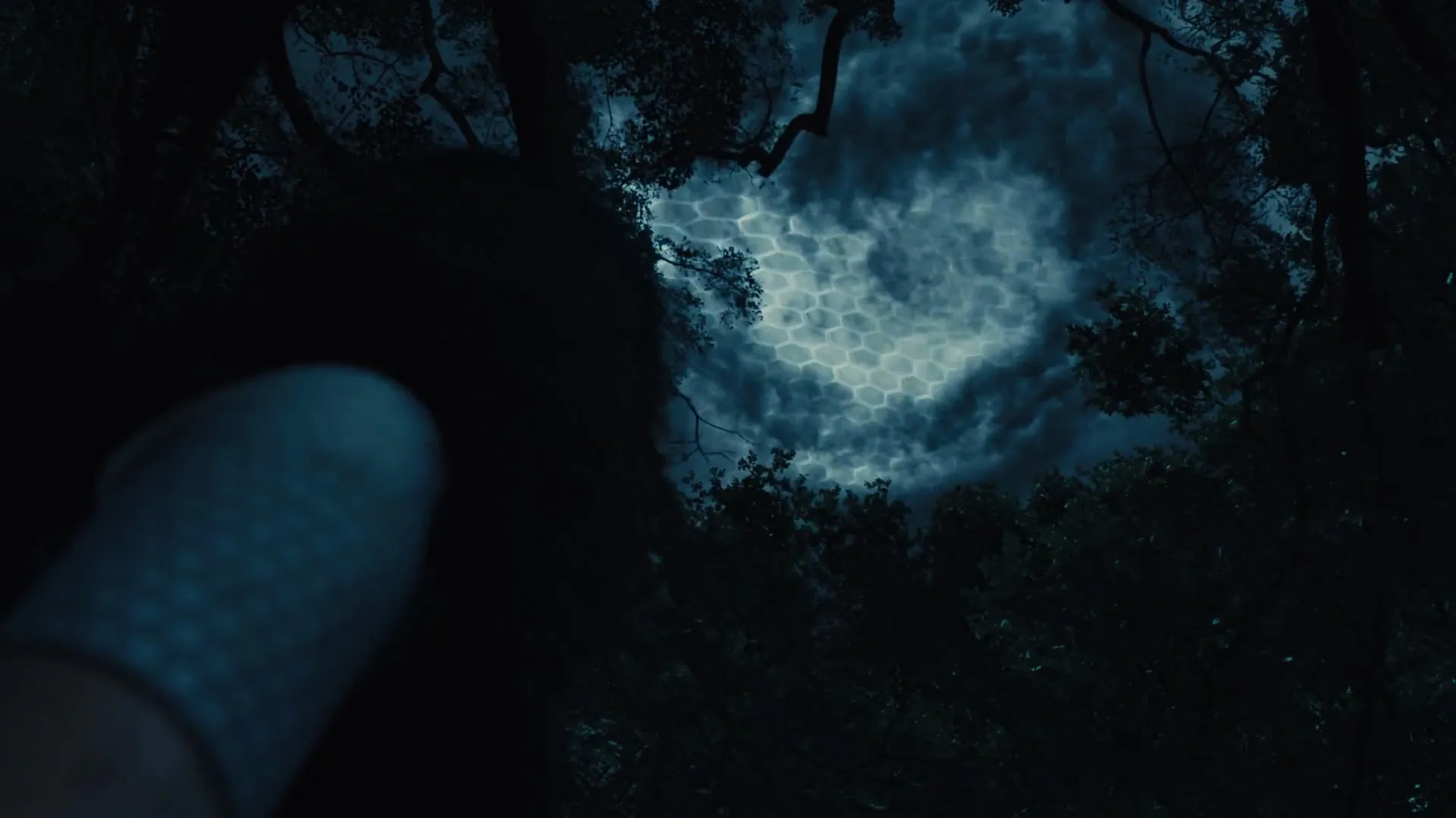 Campo de Força descoberto por Katniss em 'Jogos Vorazes - Em Chamas' (2013)