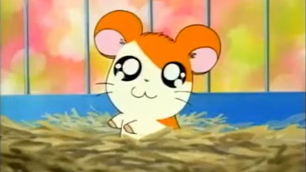 Hamtaro