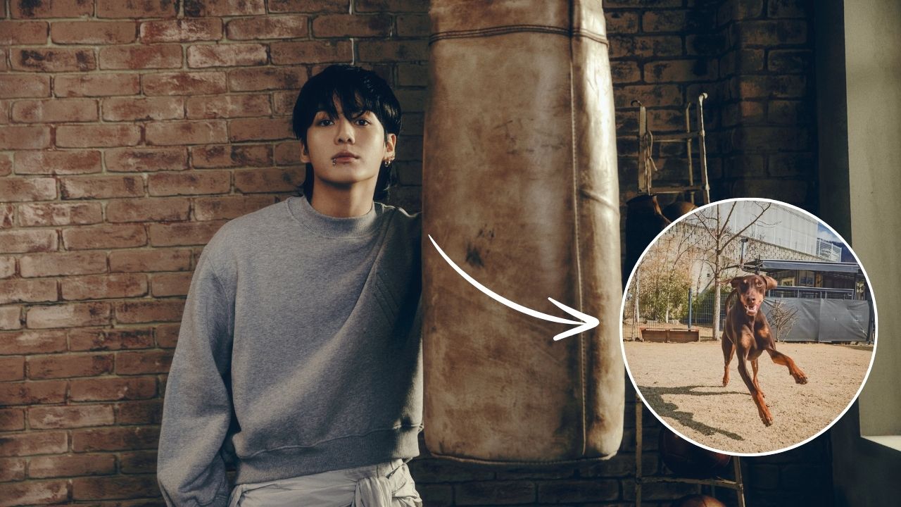 Fãs do BTS agem contra comentários maliciosos à Jungkook e seu cachorro Bam