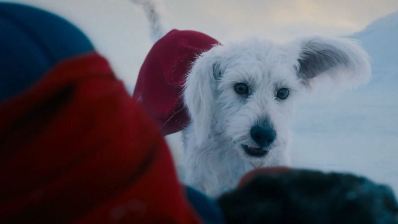 5 coisas que você precisa saber sobre Krypto em ‘Superman’