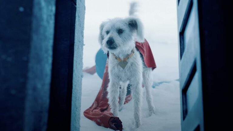Após ‘Superman’, buscas por adoção de cães no Google tem aumento significativo