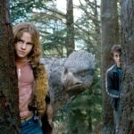 Harry Potter: 5 animais da mitologia que inspiraram criaturas da saga