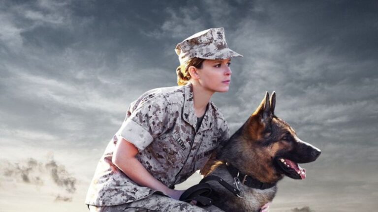 Megan Leavey: Conheça a história real e emocionante da fuzileira e seu cão de guerra