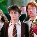 A criatura do folclore brasileiro que faz parte do universo de Harry Potter