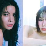 O dia em que Solar, do MAMAMOO, teria salvado a vida de Wendy, do Red Velvet