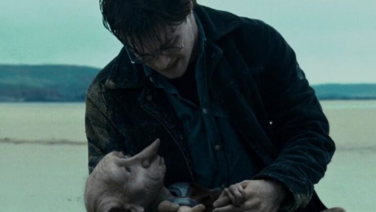 As últimas palavras de 5 personagens de Harry Potter