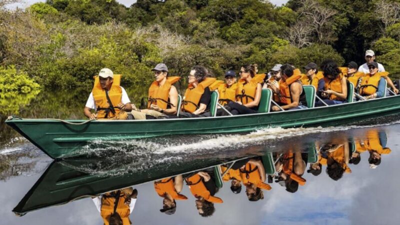 Dia da Amazônia: um chamado à consciência e à preservação