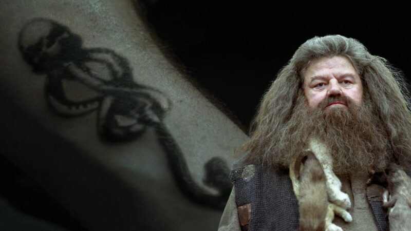 Harry Potter: Hagrid era um Comensal da Morte? Conheça a bizarra teoria