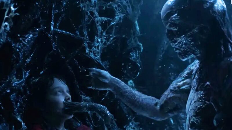 Will Stranger Things capa 2