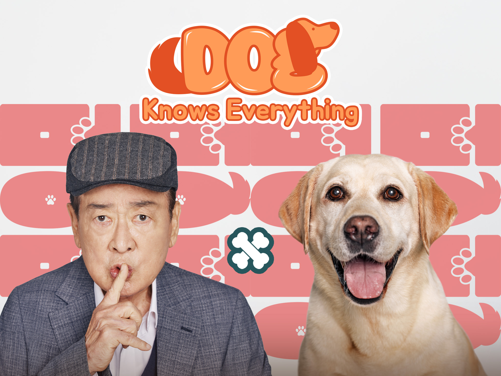 dog knows everything