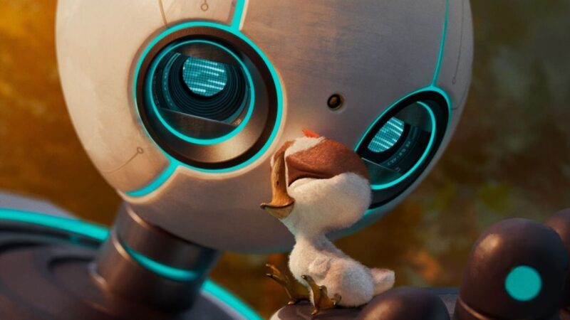 Robo Selvagem capa