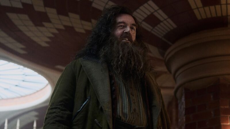 Hagrid Harry Potter serie