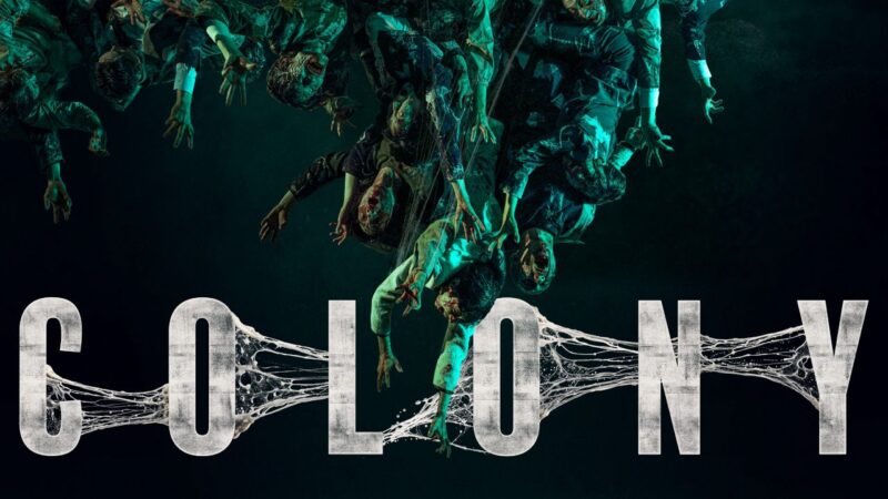Colony