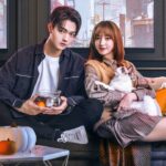 5 dramas chineses mais bem avaliados do Viki