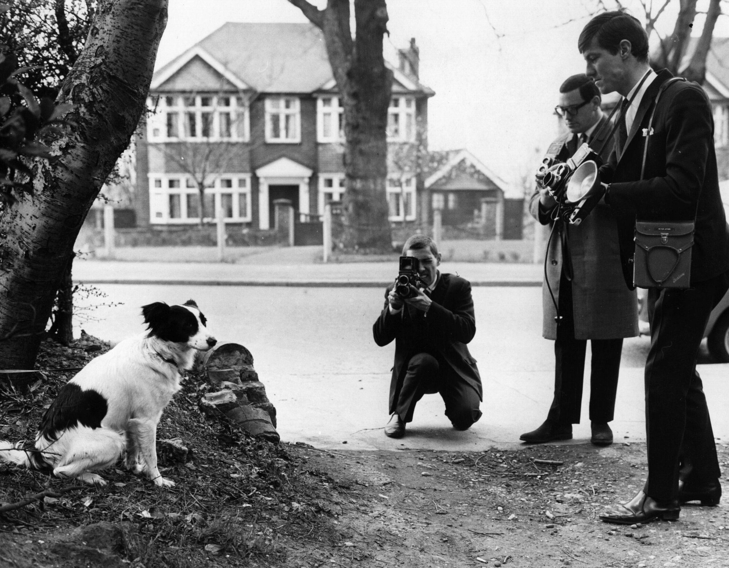 Cachorrinho Pickles, o "Herói da Copa" de 1966 no local em que encontrou a taça - Central Press/Getty Images