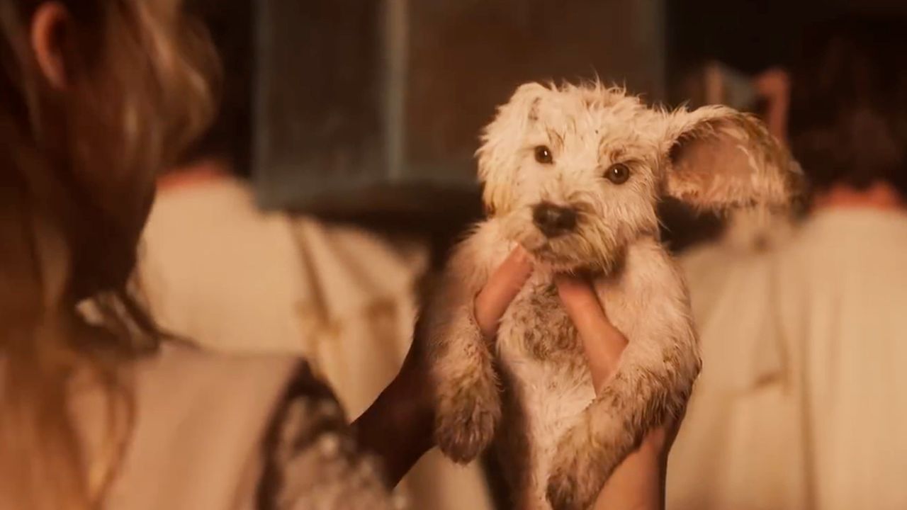 Supergirl: Afinal, qual é a origem de Krypto?