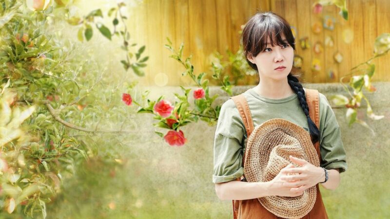 Imagem promocional do k-drama 'Para Sempre Camélia'