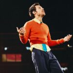 Por que Harry Styles cancelou o show de hoje (21) em São Paulo?