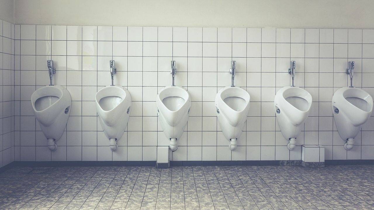Como os banheiros funcionavam antigamente?
