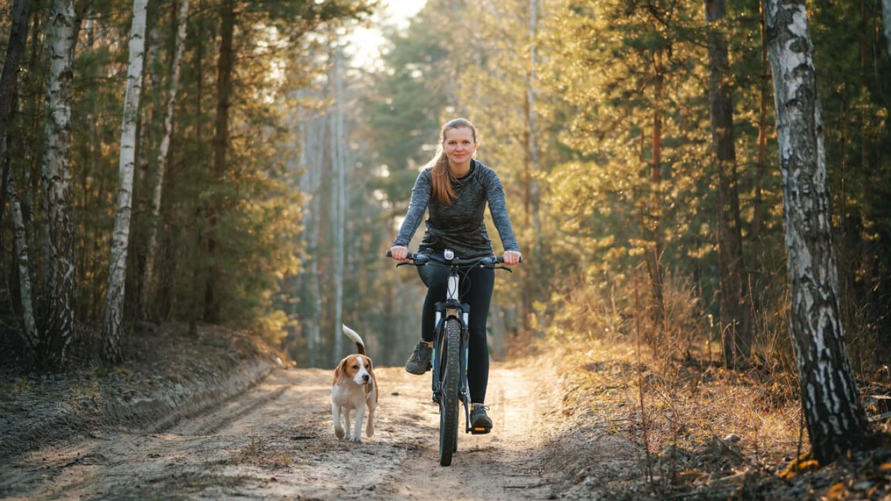 5 dicas do que fazer quando o cachorro começa a perseguir você e sua bicicleta