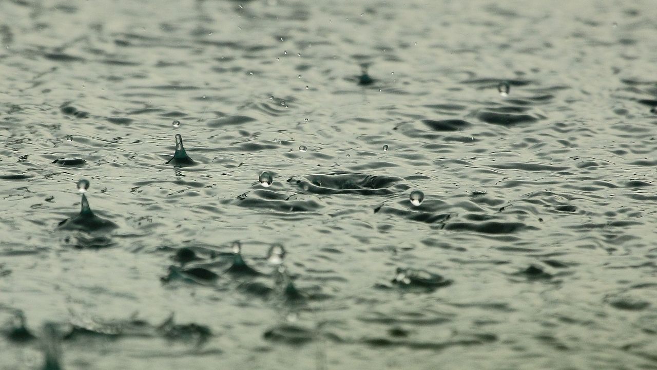 De onde vem o cheiro de chuva?