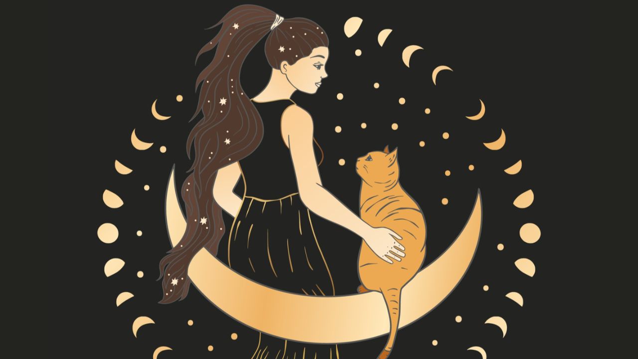 Conheça as características do gato de cada signo