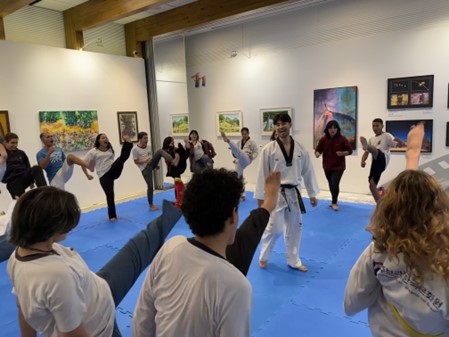 taekwondo