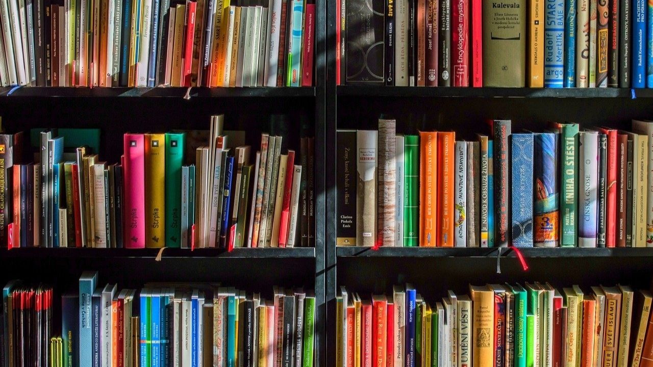 5 livros sobre histórias reais