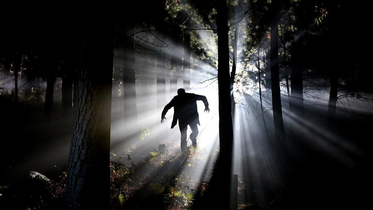 De Lobisomem a Vampiros: 14 monstros que todo mundo conhece