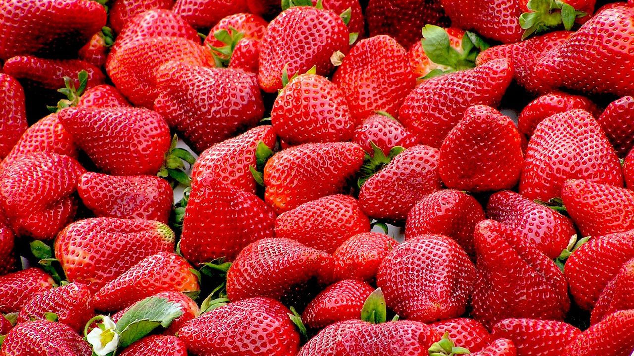 Por que morango e abacaxi não são frutas?