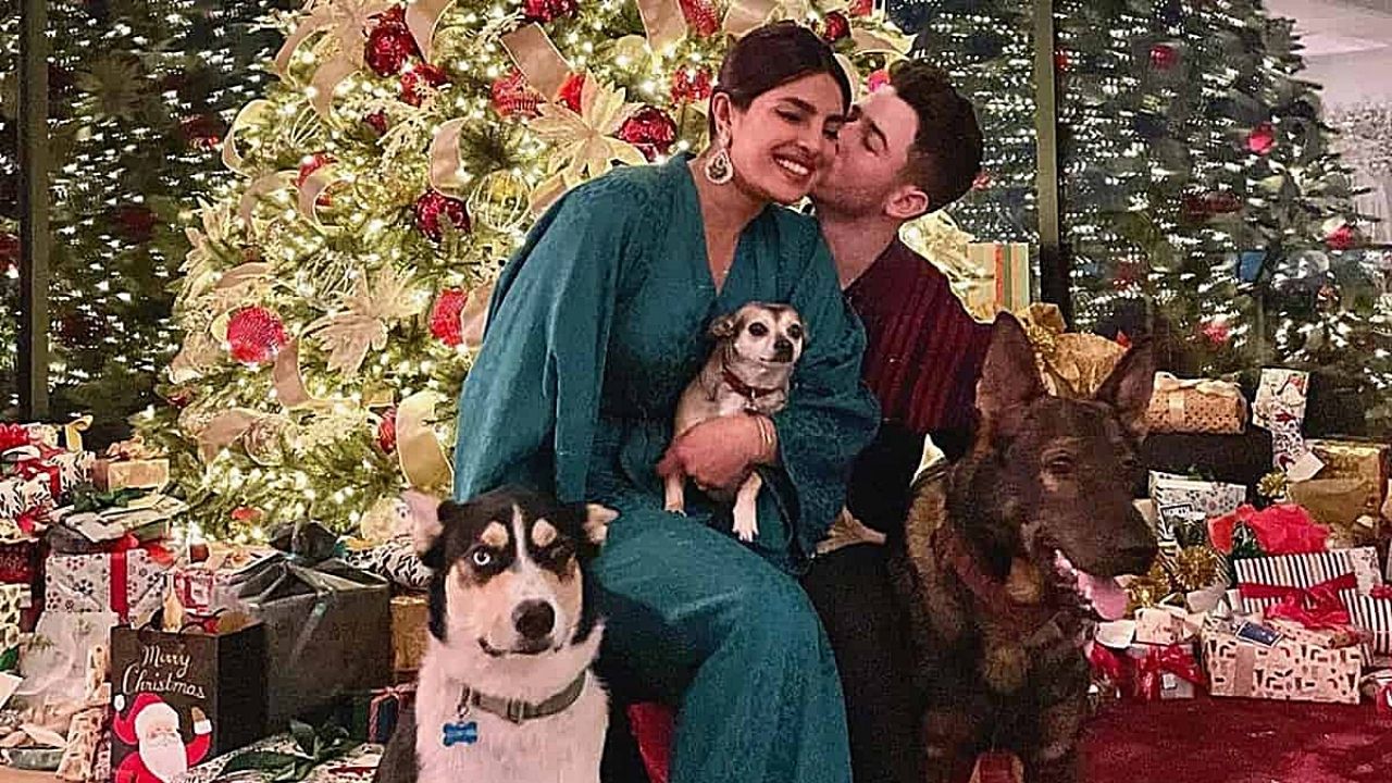 Nick Jonas revela nascimento de primeiro filho com Priyanka Chopra