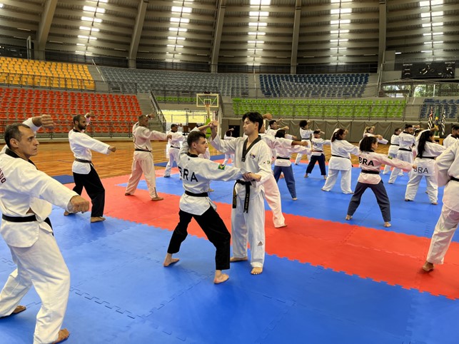 taekwondo