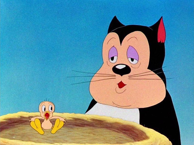 A Tale of Two Kitties